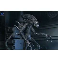 Aliens Ultimate - Figurine Warrior (1986) Xenomorph Black (40th Anniversary) 23 cm