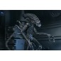 Aliens Ultimate - Figurine Warrior (1986) Xenomorph Black (40th Anniversary) 23 cm Aliens Ultimate - Figurine Warrior (1986) Xenomorph Black (40th Anniversary) 23 cm