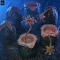 Aliens - Pack de 6 accessoires Carton of Alien Eggs (40th Anniversary) Aliens - Pack de 6 accessoires Carton of Alien Eggs (40th Anniversary)