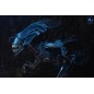 Aliens Ultra Deluxe - Figurine Alien Queen (40th Anniversary) 38 cm Aliens Ultra Deluxe - Figurine Alien Queen (40th Anniversary) 38 cm