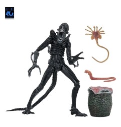 Aliens Ultimate - Figurine Warrior (1986) Xenomorph Black (40th Anniversary) 23 cm