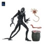 Aliens Ultimate - Figurine Warrior (1986) Xenomorph Black (40th Anniversary) 23 cm Aliens Ultimate - Figurine Warrior (1986) Xenomorph Black (40th Anniversary) 23 cm