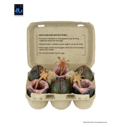Aliens - Pack de 6 accessoires Carton of Alien Eggs (40th Anniversary)