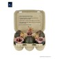 Aliens - Pack de 6 accessoires Carton of Alien Eggs (40th Anniversary) Aliens - Pack de 6 accessoires Carton of Alien Eggs (40th Anniversary)