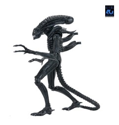 Aliens Ultimate - Figurine Warrior (1986) Xenomorph Black (40th Anniversary) 23 cm