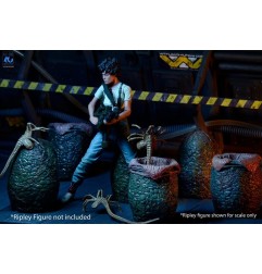Aliens - Pack de 6 accessoires Carton of Alien Eggs (40th Anniversary)
