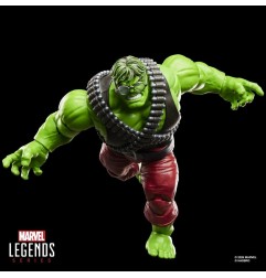 The Incredible Hulk Marvel Legends - Figurine Professor Hulk 15 cm