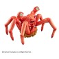 The Thing - Statuette Sofbi Fantastic Spider Head 12 cm The Thing - Statuette Sofbi Fantastic Spider Head 12 cm