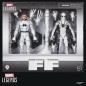 Future Foundation Marvel Legends - Pack 2 figurines Mister Fantastic & Spider-Man 15 cm