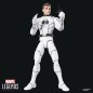 Future Foundation Marvel Legends - Pack 2 figurines Mister Fantastic & Spider-Man 15 cm