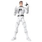Future Foundation Marvel Legends - Pack 2 figurines Mister Fantastic & Spider-Man 15 cm