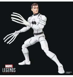 Future Foundation Marvel Legends - Pack 2 figurines Mister Fantastic & Spider-Man 15 cm