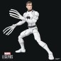Future Foundation Marvel Legends - Pack 2 figurines Mister Fantastic & Spider-Man 15 cm