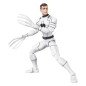 Future Foundation Marvel Legends - Pack 2 figurines Mister Fantastic & Spider-Man 15 cm