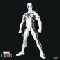 Future Foundation Marvel Legends - Pack 2 figurines Mister Fantastic & Spider-Man 15 cm