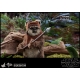 Star Wars Episode VI - Figurine Movie Masterpiece 1/6 Wicket 15 cm