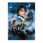 Harry Potter - Puzzle  and the Sorcerer's Stone Movie Poster