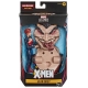 X-Men: Age of Apocalypse - Figurine Marvel Legends Series 2020 Jean Grey 15 cm
