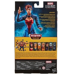 Marvel - X-Men: Age of Apocalypse  Legends Series figurine 2020 Jean Grey 15 cm