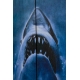 Les Dents de la Mer - Tableau en bois Les Dents de la Mer WoodArts 3D Shark Attack 30 x 40 cm