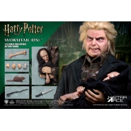 Harry Potter - Figurine My Favourite Movie 1/6 Wormtail (Peter Pettigrew) Deluxe Ver. 30 cm