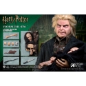 Harry Potter - Figurine My Favourite Movie 1/6 Wormtail (Peter Pettigrew) Deluxe Ver. 30 cm