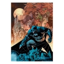 DC Comics - Puzzle Batman Catwoman