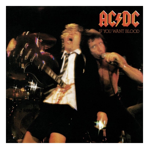 AC/DC - Puzzle Rock Saws If You Want Blood (500 pièces)