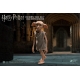 Harry Potter - Pack 2 figurines Real Master Series 1/8 Bellatrix & Dobby 16-23 cm