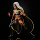 Marvel Legends - Pack 2 figurines Storm & 's Thunderbird 15 cm