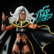 Marvel Legends - Pack 2 figurines Storm & 's Thunderbird 15 cm