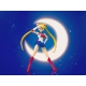 Sailor Moon - Figurine S.H. Figuarts Animation Color Edition 14 cm