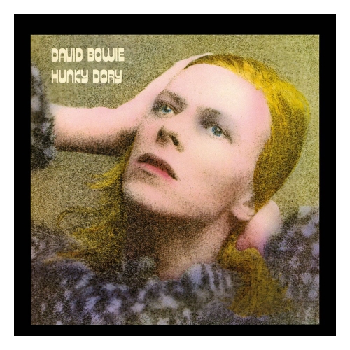 David Bowie - Puzzle Rock Saws Hunky Dory (500 pièces)