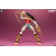 DC Comics Designer Series - Statuette vinyle Wonder Woman by Tracy Tubera 22 cm