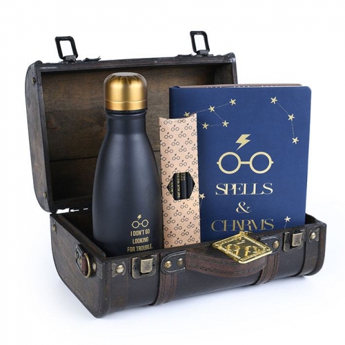 Harry Potter - Coffret cadeau Trouble Finds Me