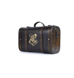 Harry Potter - Coffret cadeau Trouble Finds Me
