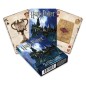 Harry Potter - Jeu de cartes à jouer Wizarding World Harry Potter - Jeu de cartes à jouer Wizarding World