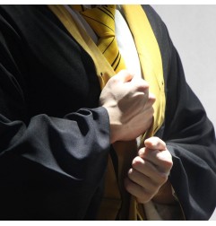 Harry Potter - Robe de sorcier Hufflepuff 