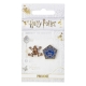 Harry Potter - Pack 2 pin's Chocogrenouille