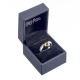 Harry Potter X Swarovski - Bague Vif d'or taille 54 (argent sterling)