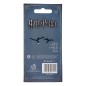 Harry Potter - Bracelet pour breloques cuir Slider Charm Quidditch