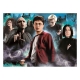 Harry Potter - Puzzle Harry vs. the Dark Arts (1000 pièces)