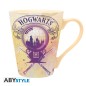 Harry Potter - Mug - 250 ml - Amortentia - boîte x2