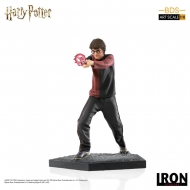 Harry Potter Et la Coupe de feu - Statuette BDS Art Scale 1/10 Harry Potter 17 cm