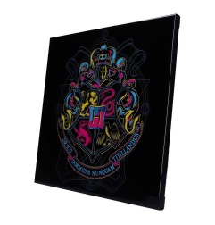 Harry Potter - Décoration murale Crystal Clear Picture Hogwarts Darkness Falls 32 x 32 cm