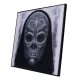 Harry Potter - Décoration murale Crystal Clear Picture Death Eater Mask 32 x 32 cm