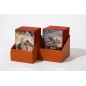 Ultimate Guard - Boulder Deck Case 100+ Return To Earth taille standard Orange