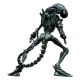 Alien - Figurine Mini Epics Xenomorph Warrior Limited Edition 18 cm