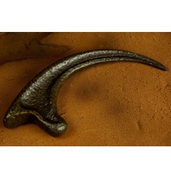 Jurassic Park - Réplique 1/1 griffe Raptor