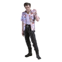Ace Ventura détective chiens et chats - Figurine 1/6 Ace Ventura détective chiens et chats 30 cm